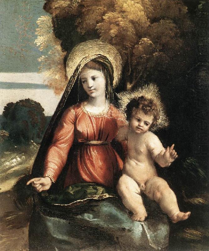 DOSSI, Dosso Madonna and Child ddfhf china oil painting image